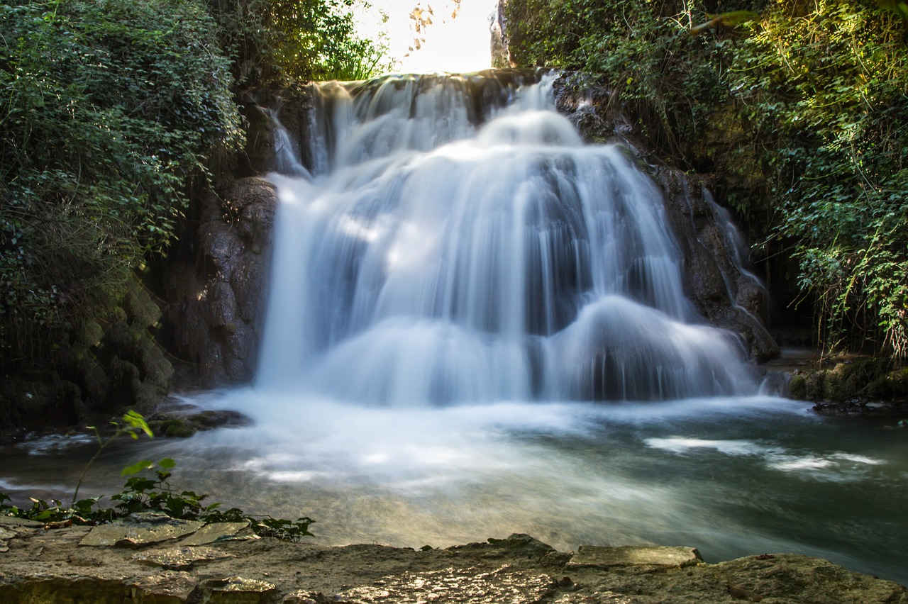 Rio de vida